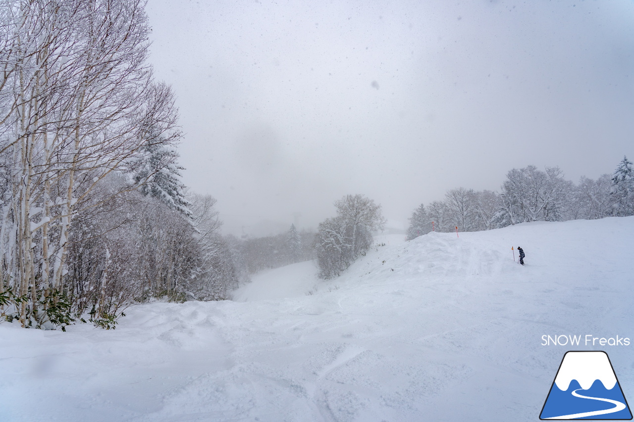 富良野スキー場｜たっぷりの『bonchi powder』が降り積ったゲレンデ…。富良野の雪は、ちょっとレベルが違います♪